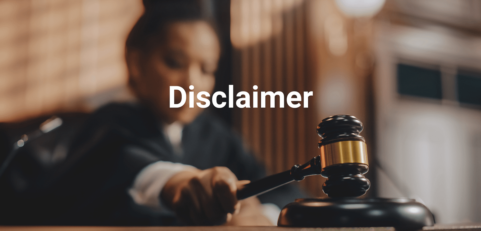 Disclaimer The Princientist