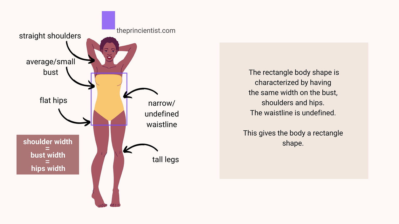 how-to-dress-the-rectangle-body-shape-complete-guide-the-princientist