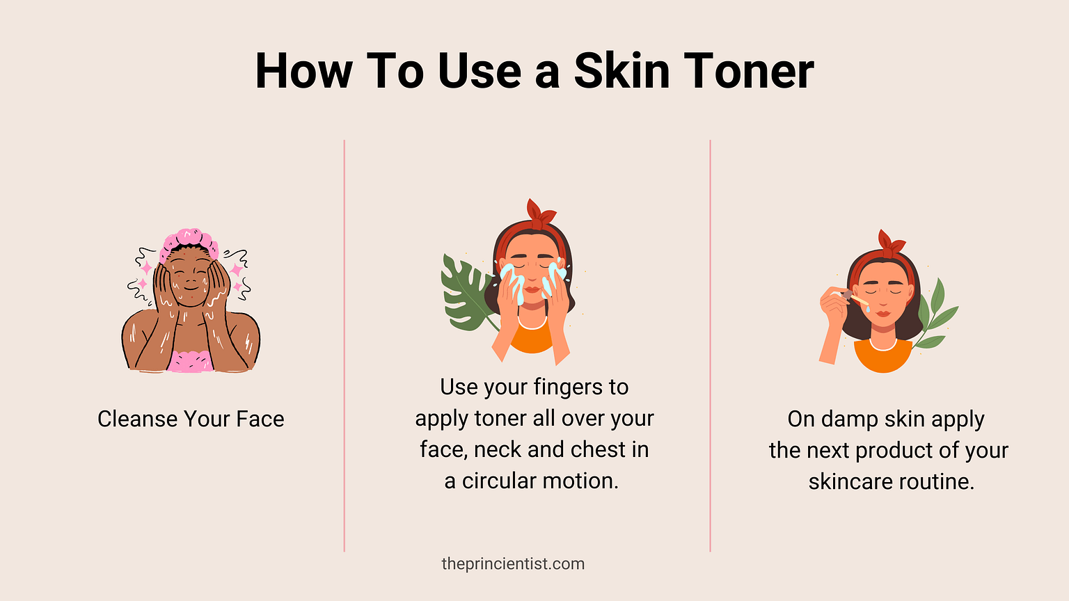 What Is a Toner & How To Choose One The Princientist